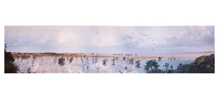 de la collection de McCarthy Tétrault