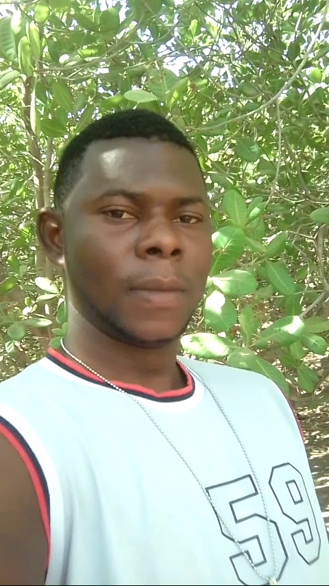 Ibrahima Diallo